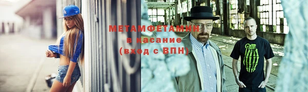 индика Михайловск