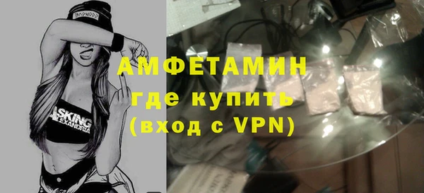 индика Михайловск