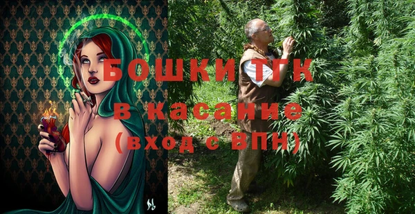 индика Михайловск