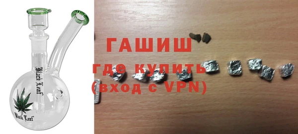 индика Михайловск