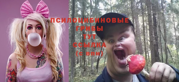 индика Михайловск