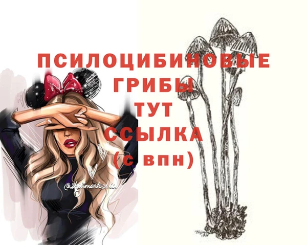 синтетический гашиш Михайловка