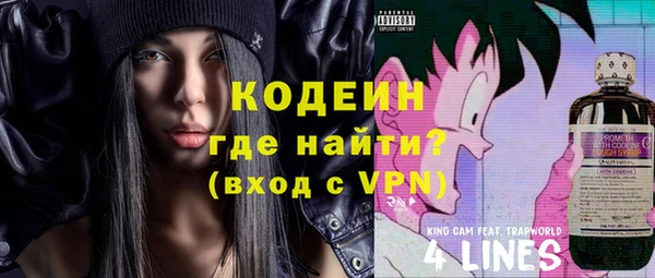 индика Михайловск