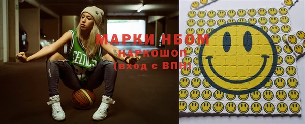 индика Михайловск