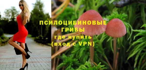ALPHA PVP Михайлов