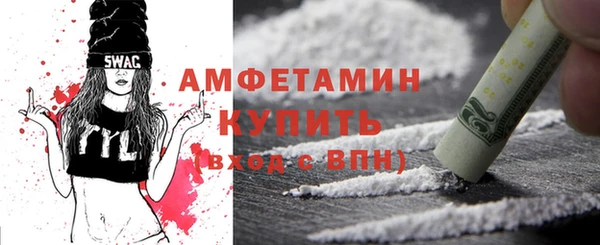 индика Михайловск