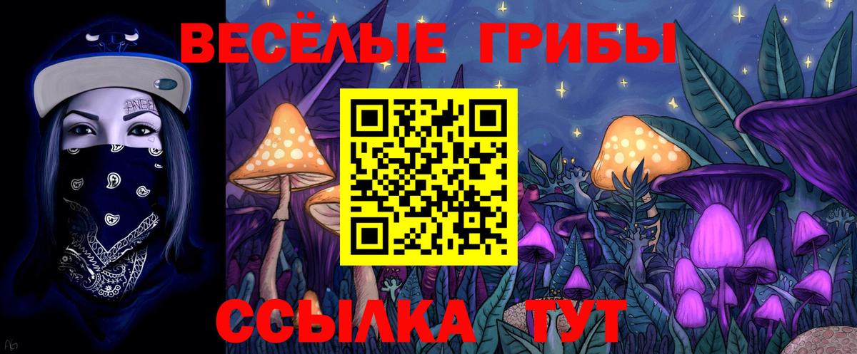 Энгельс  Галлюциногенные грибы GOLDEN TEACHER  Вход с VPN  Псилоцибиновые грибы GOLDEN TEACHER 